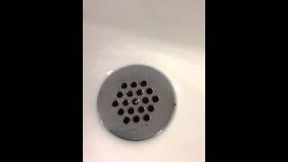 Roach in FIU bathroom