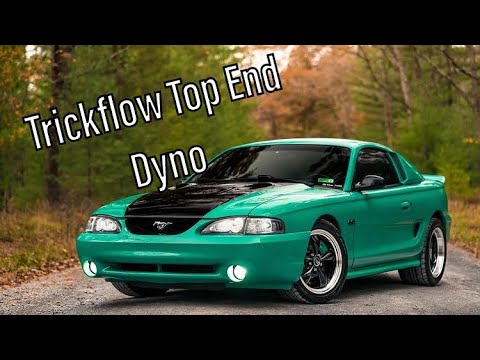 Sn95 Mustang Trickflow Top End Dyno 11r Heads Stage 2 Cam