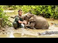 Man Saves Drowning Baby Elephant, Then The Herd Does The Unexpected! 🐘🌊 #HeroicRescue #AnimalBehav