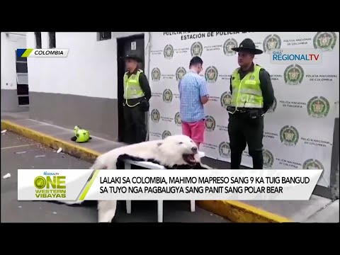 One Western Visayas: Lalaki sa Colombia, nagtuyo nga magbaligya sang panit sang polar bear