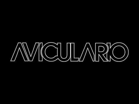 AVICULARIO @ Hochschulparty Kempten 2015