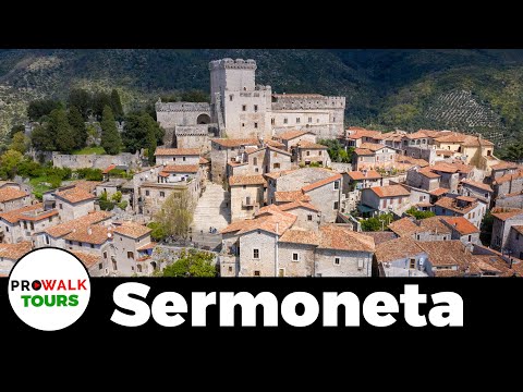 image-What is a castle with a village called?