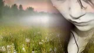 Nicki      Doch die Zeit bleibt Steh&#39;n