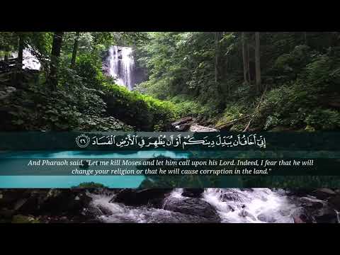 Surah Ghafir Ahmad Khedr Heart melting voice❤️Soothing Quran Recitation
