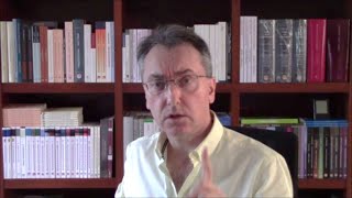 Neoteny and literary studies: is the university a factory of immature readers?