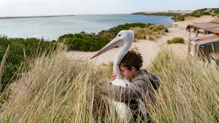 Trailer Preview Image