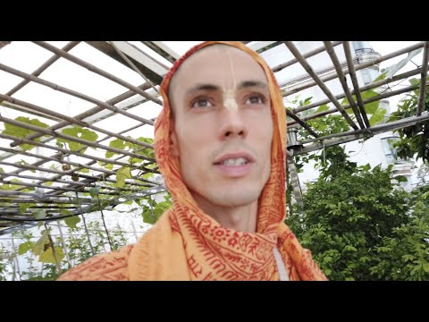 An apology message to my 3 mothers.