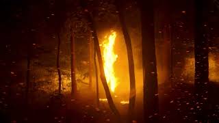 Civil War (2024) - Forest Fire | Breakers Roar - Sturgill Simpson