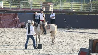 preview picture of video 'Démonstration tir à l'arc à cheval à Lamotte Beuvron'