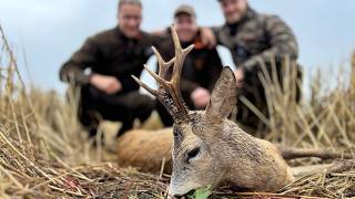 Unglaubliche Blattzeit in Mecklenburg Vorpommern - Jagdkrone