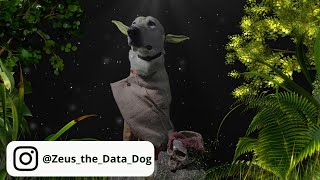 Yoda Dog provides insight about the #darkside of #outsourcing