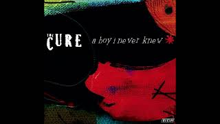 The Cure   A Boy I Never Knew -UNRELEASES 2008