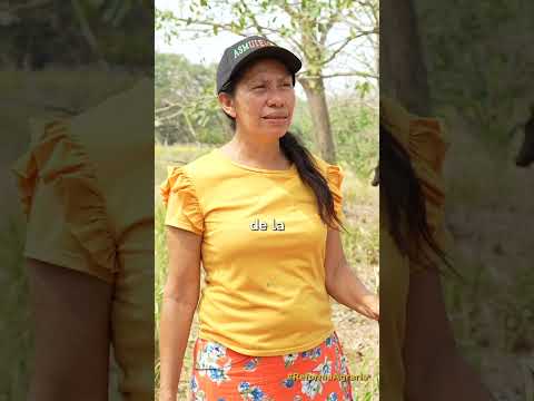 Las mujeres rurales de Sucre recibieron más de 1.300 hectáreas para producir alimentos