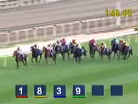 [Mercedes-Benz  Hong Kong Derby 2009] COLLECTION Won THE MERCEDES-BENZ HONG KONG DERBY 2009