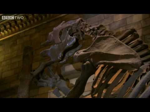 Prehistoric Sloth