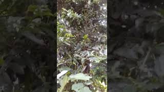 Download lagu #nyalakan api kehidupan# #nike ardilla# mp3