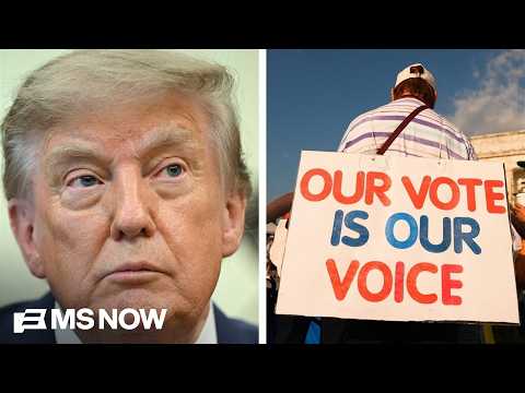 ‘Flailing’ and ‘terrified’: Trump continues attacks on voting as thousands join March on Washington