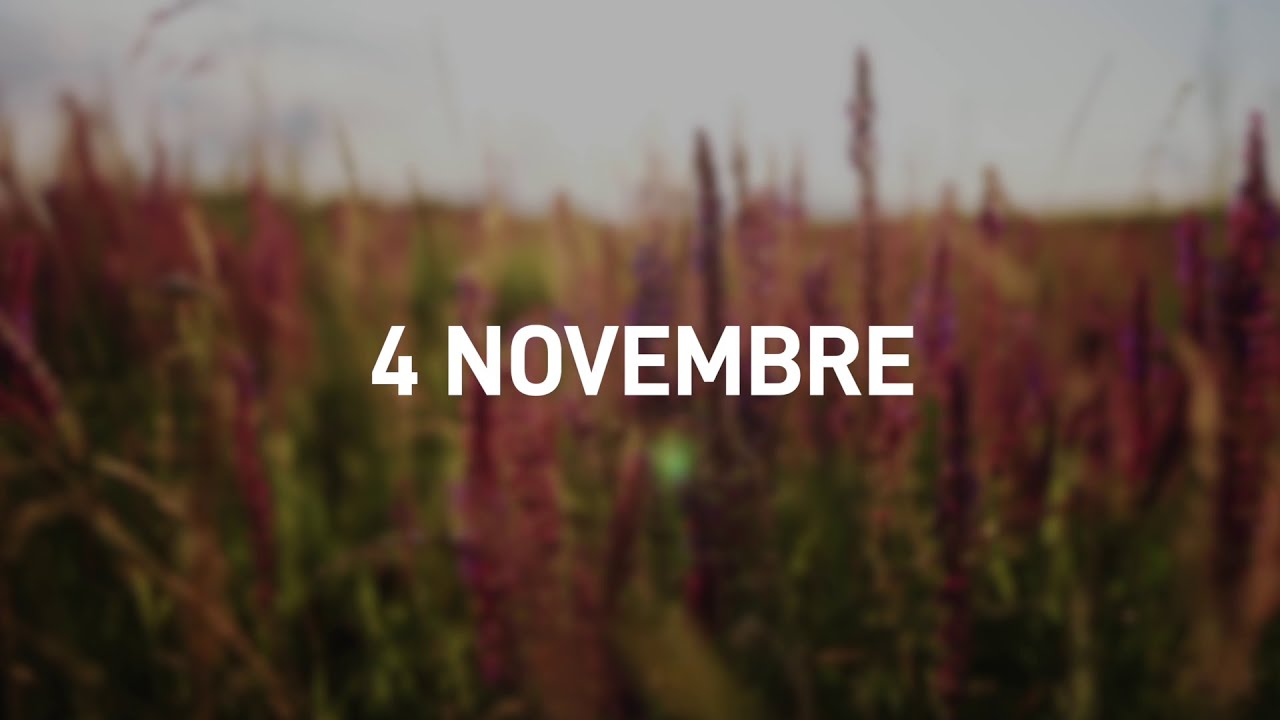 4 Novembre 2025 | Meditazione Parole di Vita