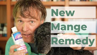 How to Treat Mange in Dogs at Home