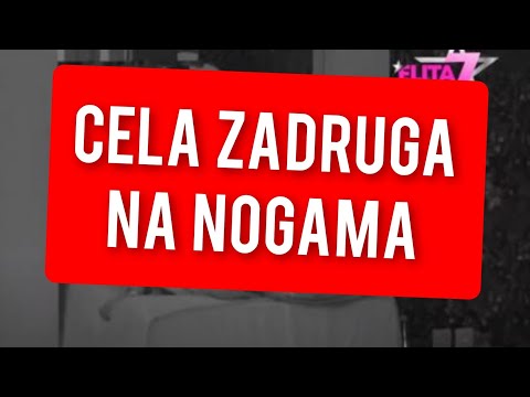 SAZNALO SE SVE - CELA ZADRUGA NA NOGAMA - OVO SU SVI CEKALI