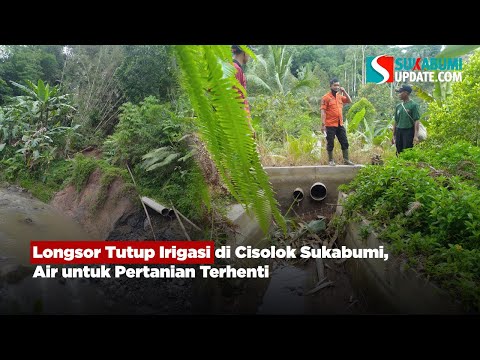 Longsor Tutup Irigasi di Cisolok Sukabumi, Air untuk Pertanian Terhenti