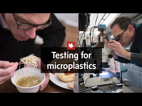 Searching for microplastics within the human body