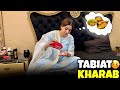 Kuch Bahir Ka Khany Ko Dill Kr Raha Hai Tabiat Kharab Ho Gayi Daily Vlogging Rabia Amir
