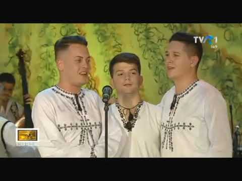 NICOLAE FURDUI IANCU si Junii de la Jidvei cu ,,Orchestra Jidvei Romania'' dirijor Stelian Stoica