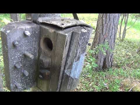 Haitarilintupönttö, linnunpönttö, linnunpesä,