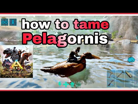 how to tame pelagornis ark ultimate mobile edition