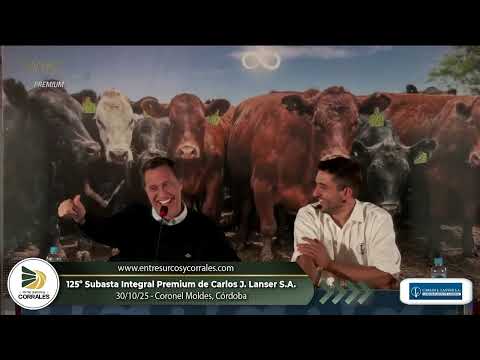 30-10-25 - 125º Subasta Integral Premium de Carlos J. Lanser S.A. - Coronel Moldes, Córdoba