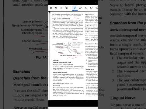 General Anatomy part 4