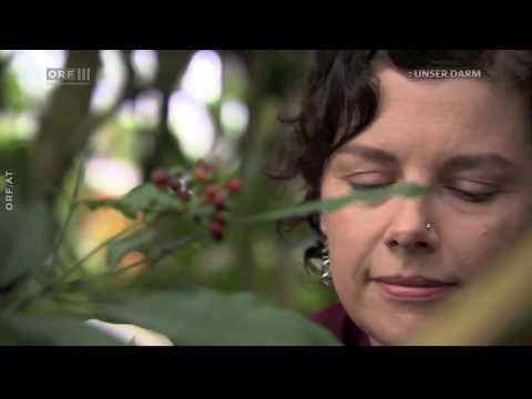 Gesundbrunnen - Die Kraft aus der Körpermitte. Doku. 3Sat.