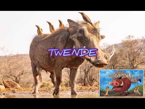 BIEN FT SCAR MKADINALI- LIFESTYLE (LYRICS) by P KIPZ