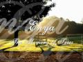 Enya - The Memory of Trees - Em Plena Paz Enya - The Memory of Trees