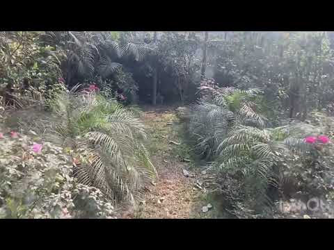 উপজেলা ভূমি অফিস, কিশোরগঞ্জ, নীলফামারী-এর প্রাকৃতিক সৌন্দর্য