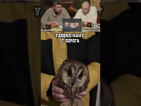 К такому мать была не готова!