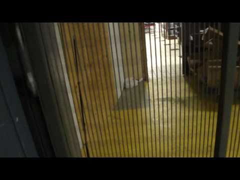 DOVER/KONE/MCE Hydraulic Freight Elevator @ JCPenney, Roosevelt Field, Garden City, NY