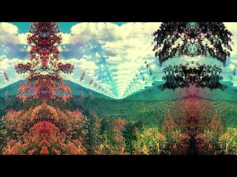 They Want Me Back - Salvia Divinorum Trip Report #2
