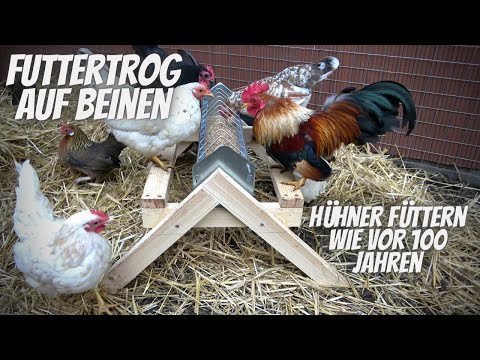 Chickens self-made food bowl underframe