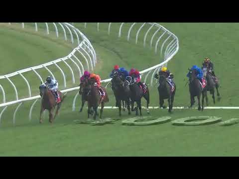 2019 George Main Stakes | Avilius