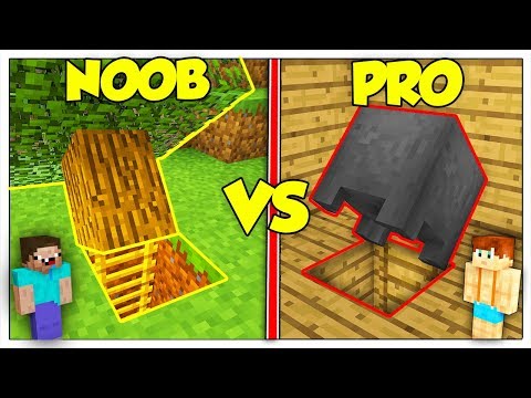 ENTRATA SEGRETA NOOB CONTRO PRO! - Minecraft ITA