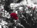 ELEVEN - Reach Out