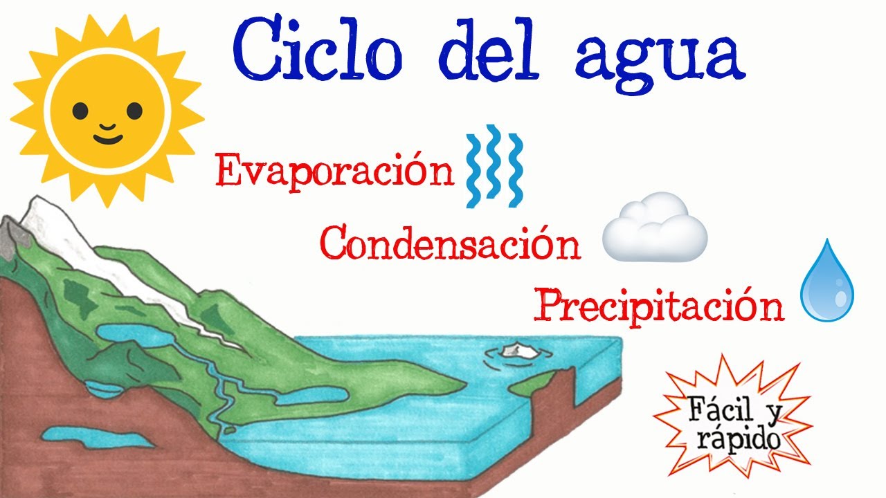 ♻️ El Ciclo del Agua 💧 [Fácil y Rápido] | BIOLOGÍA |