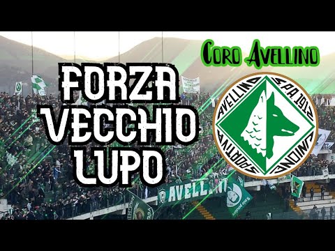 Come on old wolf, can you hear this voice? - Avellino ultras choir [WITH LYRICS]