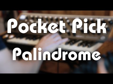🌴 Pocket Pick - Palindrome (Live at Kunyhó) 🌴