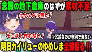 念願の地下倉庫のはずが素材不足が発覚し、カイリューのゆめしまに目をつける七瀬すず菜【ぽこあポケモン/にじさんじ/切り抜き】