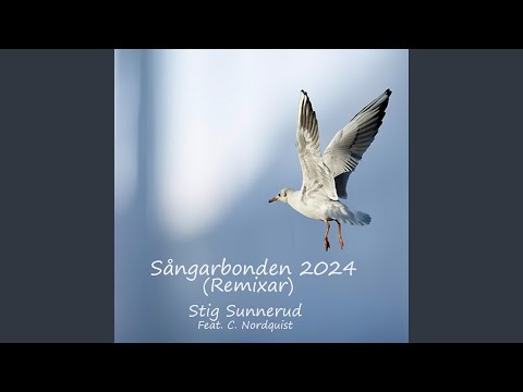 Jag Går På Moln (feat. C. Nordquist) (Remaster .24)