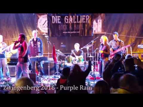 Die Gallier - Purple Rain
