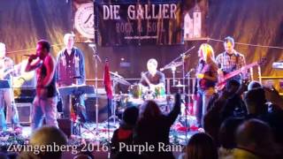 Die Gallier - Purple Rain